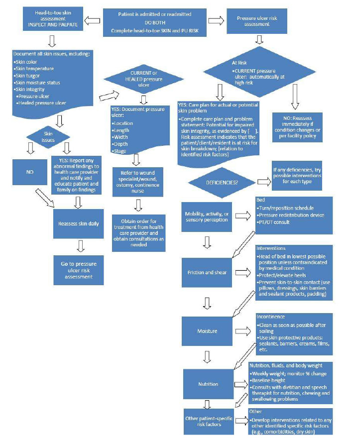 A flow chart depicts the steps to assess a newly admitted or readmitted patient for pressure ulcer risk, including a head-to-toe skin assessment and pressure ulcer risk assessment.