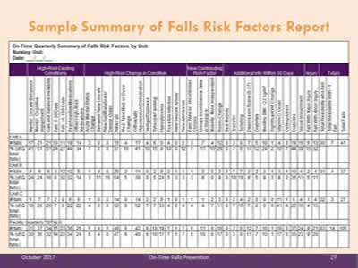 Image of sample Summary of Falls Risk Factors Report.