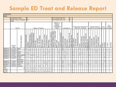 Sample ED Treat and Release Report