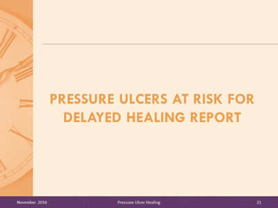 Pressure Ulcers at Risk for Delayed Healing Report.