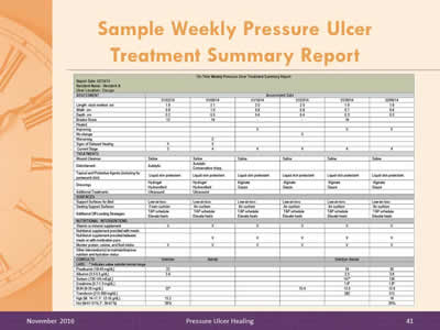 Table shows sample On-Time Weekly Pressure Ulcer Treatment Summary Report for Report Date: 02/10/14, Resident Name: Resident A, Ulcer Location: Coccyx.