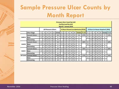 Table shows sample Pressure Ulcer Count by Unit, Facility Level by Unit, Month: January 2014.
