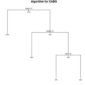 Figure 1. Final CABG algorithm.  Graphic illustrating classification tree branching for the final CABG algorithm as described in the final report narrative.
