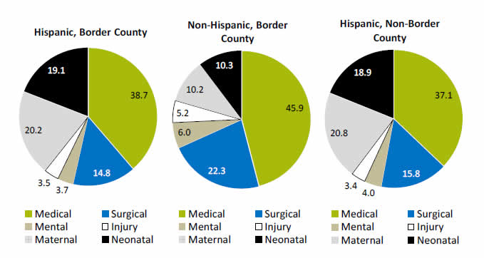 Pie charts show Percentage of Inpatient Stays, by Service Line. Hispanic, Border County: Medical - 38.7, Surgical - 14.8, Mental - 3.7, Injury - 3.5, Maternal - 20.2, Neonatal - 19.1. Non-Hispanic, Border County: Medical - 45.9, Surgical - 22.3, Mental - 6.0, Injury - 5.2, Maternal - 10.2, Neonatal - 10.3. Hispanic, Non-Border County: Medical - 37.1, Surgical - 15.8, Mental - 4.0, Injury - 3.4, Maternal - 20.8, Neonatal - 18.9.