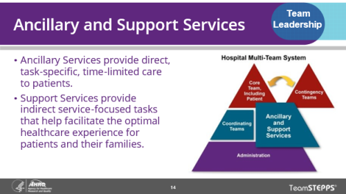 Ancillary and Support Services. Ancillary and support services provide direct, task-specific, and time-limited care to patients. Support services provide indirect service-focused tasks to help facilitate the optimal healthcare experience for patients and their families..