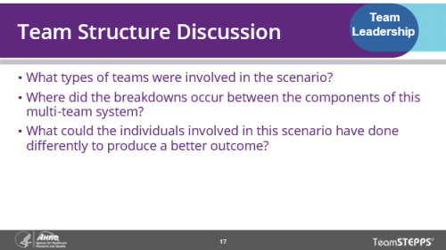 Team Structure Discussion. Image of slide: key points are in the text below.