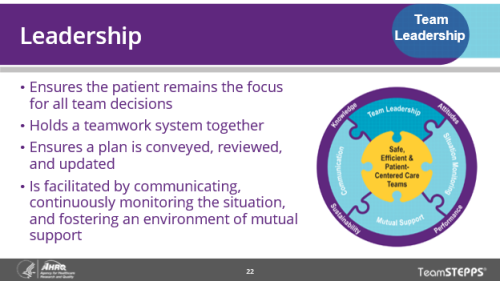 Leadership: ensures the patient is the focus for all team decisions, holds the teamwork system together, ensures a plan is conveyed, reviewed, and updated, and is facilitated through communication, continuous monitoring of the situation, and fostering of an environment of mutual support.
