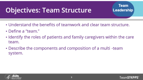 Objectives: Team Structure. Key points are in the text below.