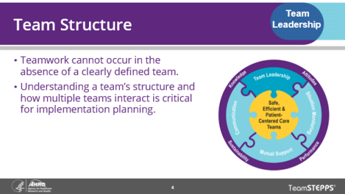 Team Structure. Image of slide: Teamwork works best when teams are clearly defined. Understanding a team's structure and how multiple teams interact is critical for implementation planning.