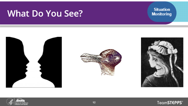 Ask participants what they see in each of the three figures. The options include: two people or a vase, a duck or a rabbit, and a young woman or an older woman.