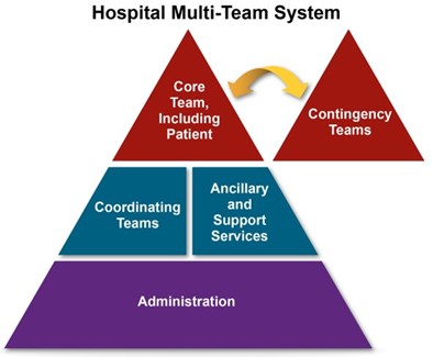 A hospital multi-team structure is a pyramid shape with administration at the base, coordinating teams and ancillary and support services above that, and the core team, including the patient, at the top. Contingency teams are also at the top but may be outside the main multi-team structure.